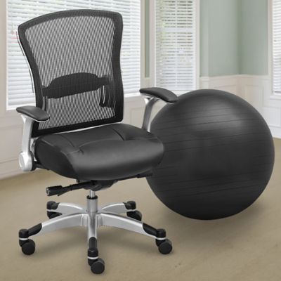 Desk Chair or Exercise Ball?